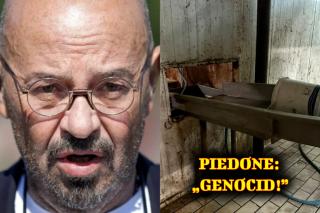 Abator INFECT închis de Piedone! „Este de dosar penal. GENOCID!”