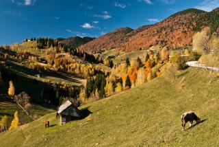 Cele mai frumoase locuri din România toamna. Frunzele arămii, aerul curat și liniștea naturii, punctele forte