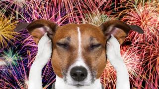 Interzis la petarde și artficii pentru români în 2025, s-a schimbat legea. Cu ce mai poți să ”te joci” de sărbători ca să nu iei amendă de 7.500 de lei