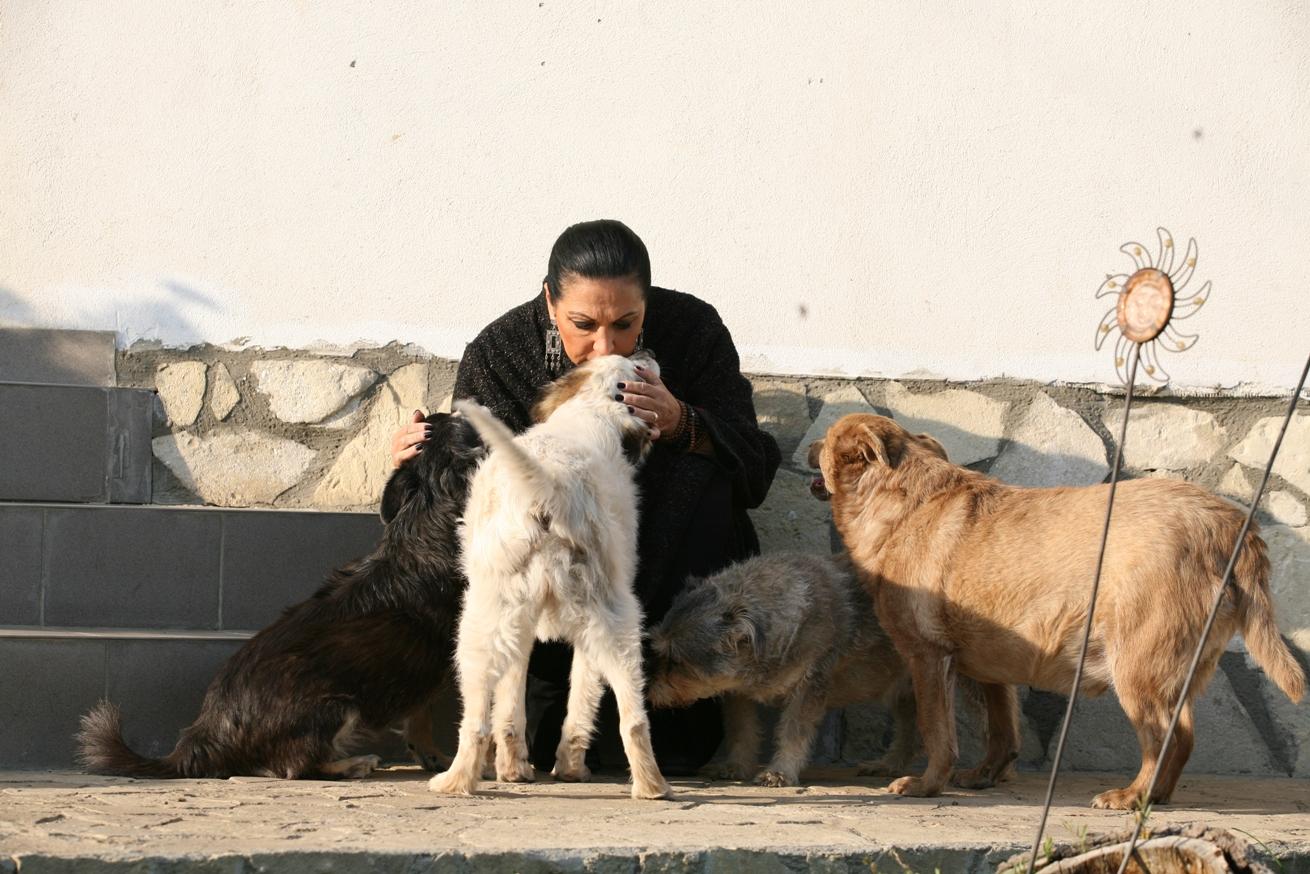 Membrii juriului de la „Ham talent” sunt mari iubitori de animale!