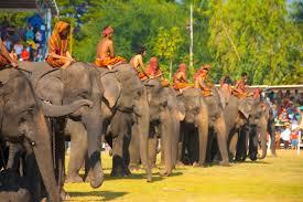Impresionant! Cea mai mare paradă de elefanţi din Asia uimește o lume întreagă