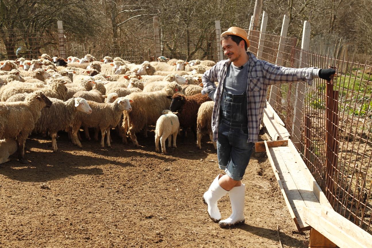 Răzvan și Dani și Cheeky Girls rânesc la vaci, mână oile și renovează o locuință la „Poftiți pe la noi!”