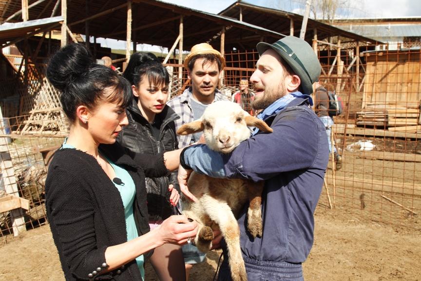 Răzvan și Dani și Cheeky Girls rânesc la vaci, mână oile și renovează o locuință la „Poftiți pe la noi!”