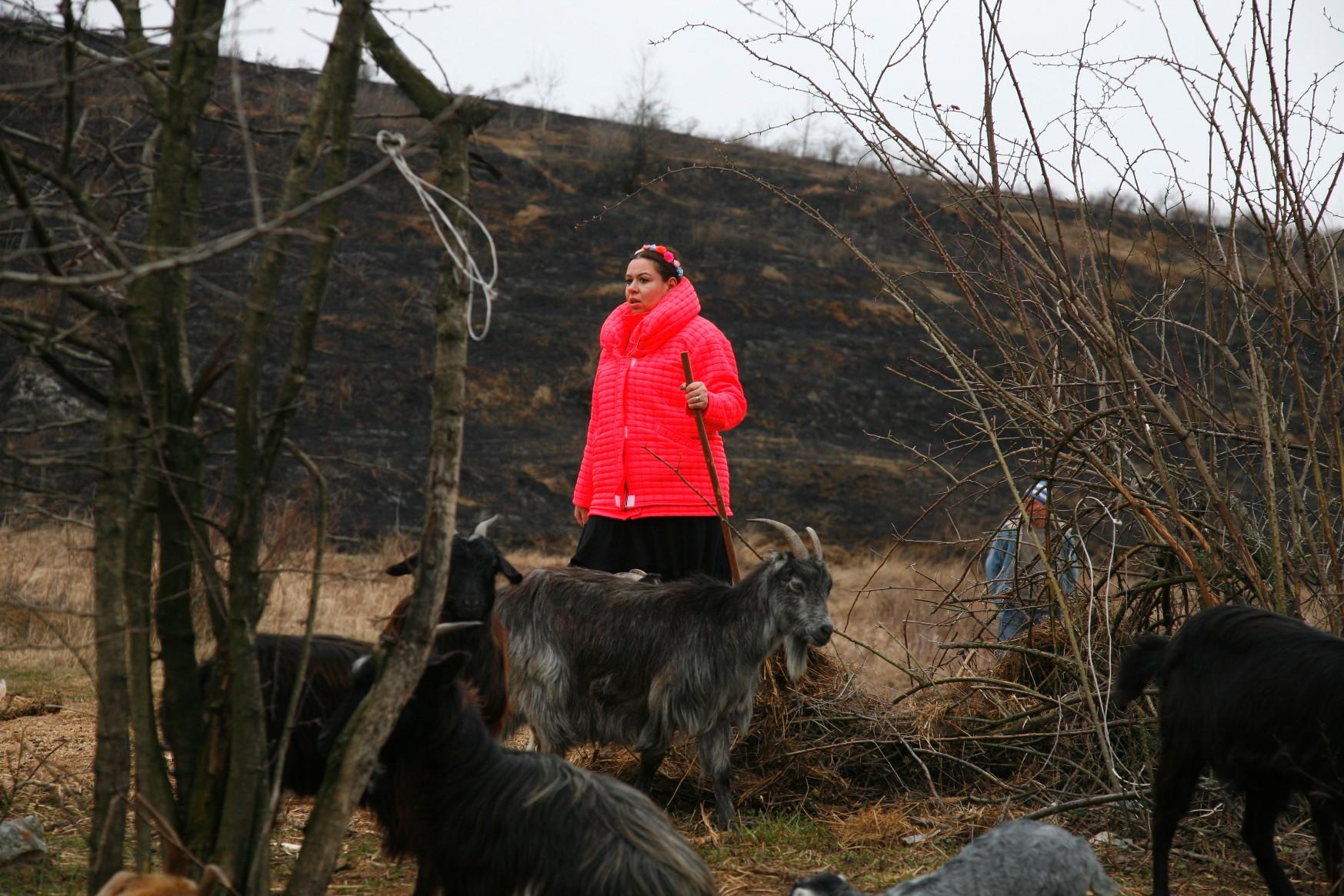 Oana Roman mână o turmă de capre, muncește într-o fabrică de pâine și plivește într-o seră