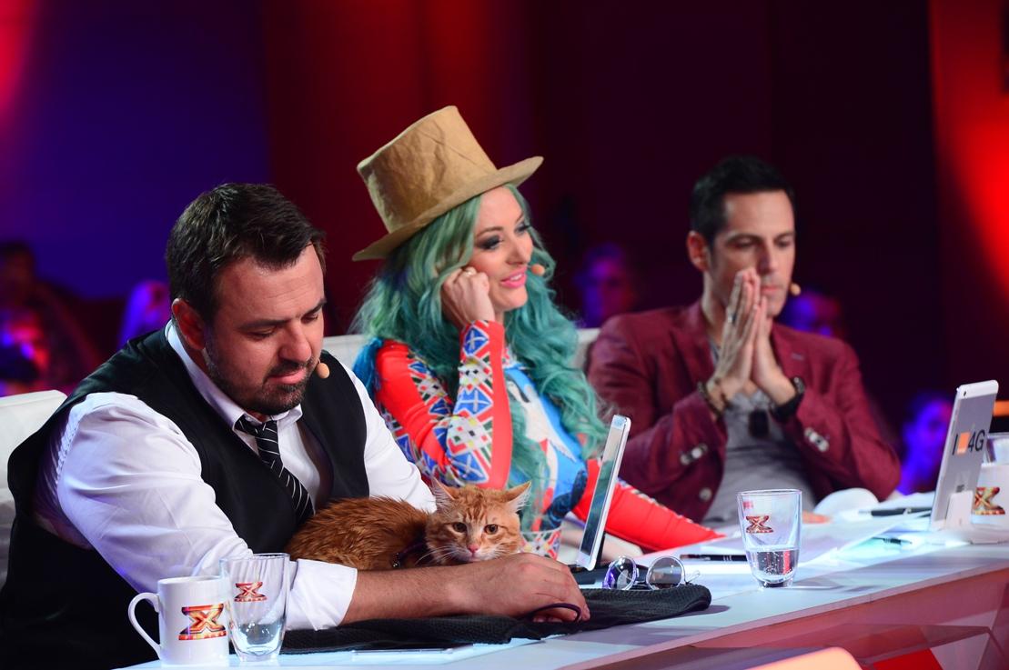 Horia Brenciu are un partener inedit de jurizare la X Factor: o pisică