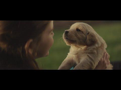 Eşti iubitor de câini? Vei plânge când vei vedea acest videoclip!