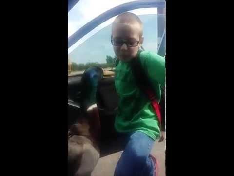 O raţă merge la şcoală ca să-şi întâmpine prietenul! Uite cum reacţionează când îl vede pe băiat! Te uiţi şi NU CREZI! (VIDEO)
