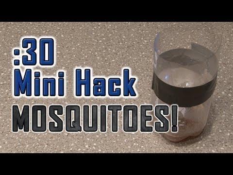 Cea mai tare capcană pentru țânțari: Uite cum să scapi de insecte cu o soluție făcută în casă!