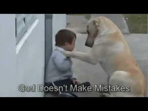VIDEO cutremurător! Cum se poartă un câine cu un copil cu sindromul Down te va impresiona până la lacrimi! Clipul e senzaţie pe Internet!