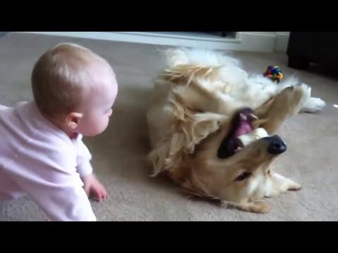 VIDEO: Prietenia dintre un bebeluş şi un câine a adunat trei milioane de vizualizări! Te topeşti de dragul lor