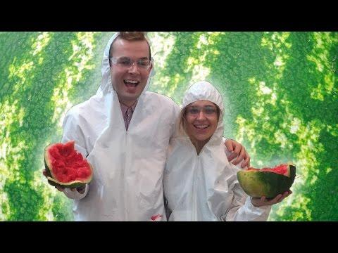 Viralul zilei! De cate elastice ai nevoie pentru a face un pepene sa explodeze?! VIDEO