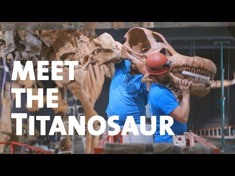 VIDEO: El e cel mai mare dinozaur care a existat vreodată! Cântărea cât zece elefanţi la un loc
