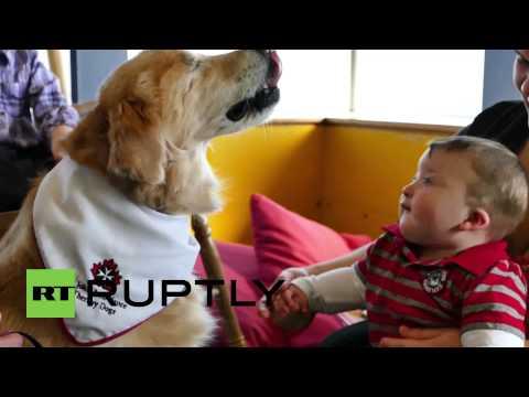 Lecția de viață care a impresionat milioane de oameni! Un câine născut ORB e sprijin pentru copiii cu autism! VIDEO