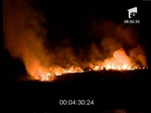 Incendiu de vegetatie, in nordul Bucurestiului