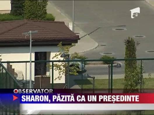 Sharon Stone, pazita ca un presedinte in Romania