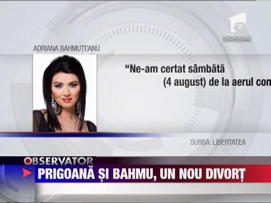 Adriana Bahmuteanu si Silviu Prigoana ar putea divorta din nou