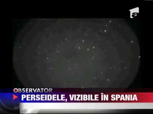 Ploaia de stele, vizibila doar in Spania