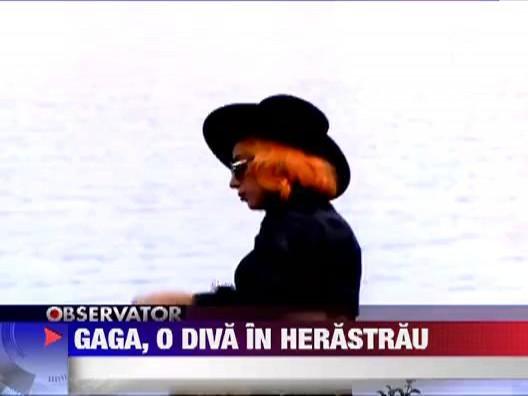 Ca o diva: Lady Gaga si-a plimbat catelul in Parcul Herastrau