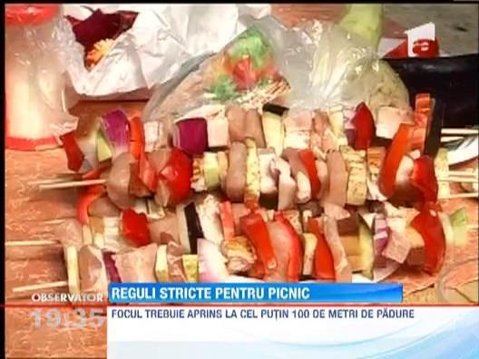 Regulile stricte pentru picnic nu se respecta