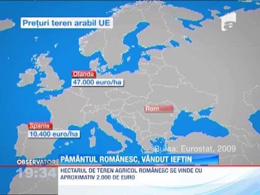 Pretul terenului din Romania, de 8 ori mai mic decat media europeana