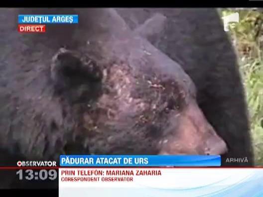 UPDATE! Alte doua persoane au fost atacate de urs, in Arges