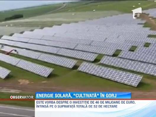 Cel mai mare parc fotovoltaic din Romania va fi construit in Gorj