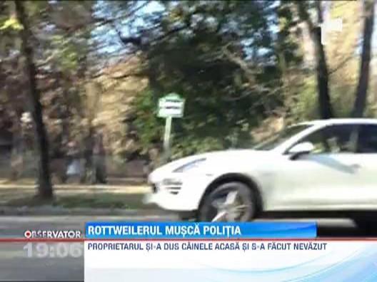 Patrula calare a Politiei Locale Bucuresti a fost atacata de un caine periculos