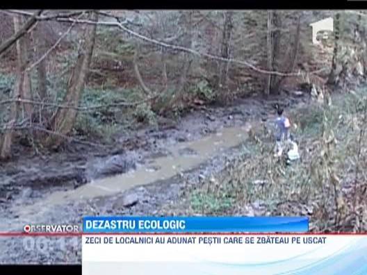 Dezastru ecologic la Caras-Severin: Mii de pesti, adunati cu sacii de locuitorii unui sat
