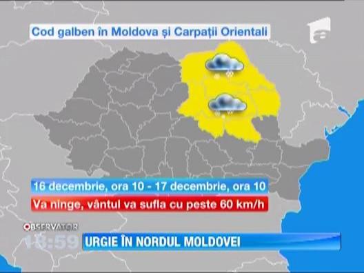 Nenorocire in nordul Moldovei! Patru judete sunt paralizate complet din cauza ninsorilor abundente 