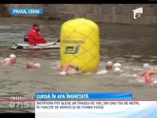 Cursa nebuna in Cehia: Peste 200 de persoane au inotat in apa rece ca gheata!