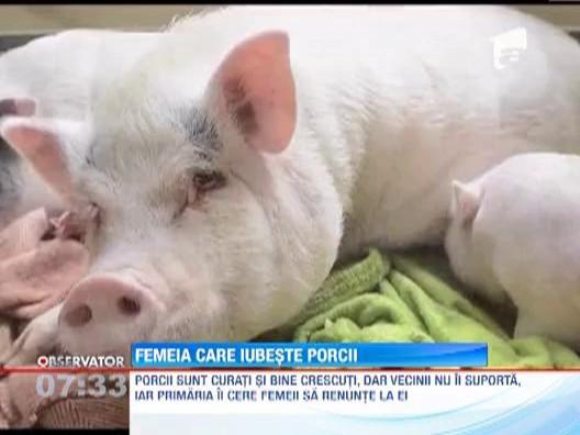 O femeie din SUA creste 47 de porci ca... animale de companie!