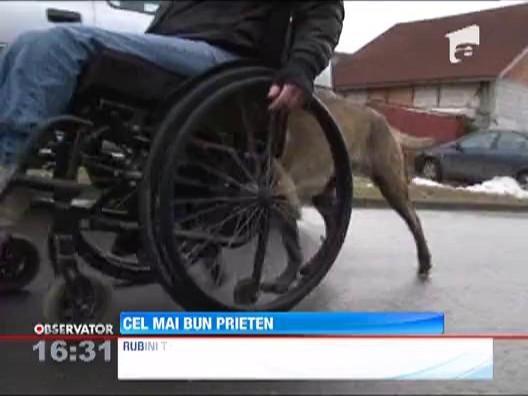 Un caine utilitar poate face diferenta in viata unei persoane cu dizabilitati