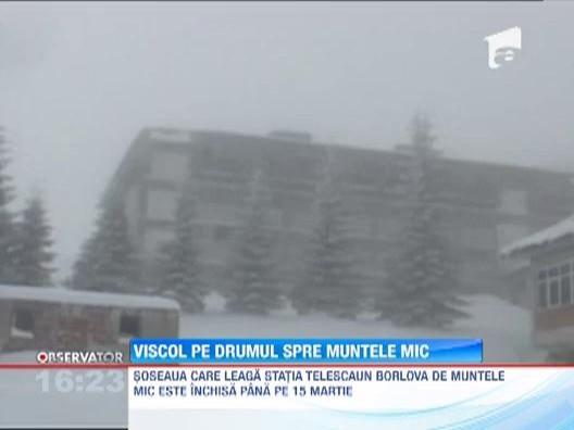 Romania: O sosea si o statie de telescaun, inchise astazi din cauza viscolului