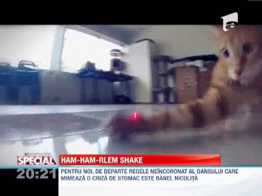 Ham-ham-Rlem Shake! Celebrul dans in varianta celor mai dragute animale