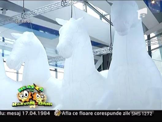 INEDIT | Expozitie de sculpturi gonflabile, in Bucuresti!