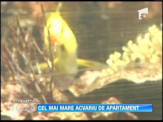 Un american se lauda cu cel mai mare acvariu de apartament din lume