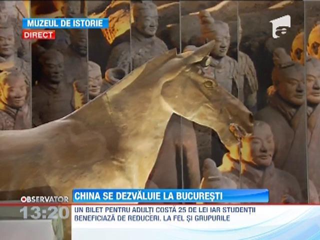 Soldatii de teracota din China, expusi la Muzeul National de Istorie a Romaniei