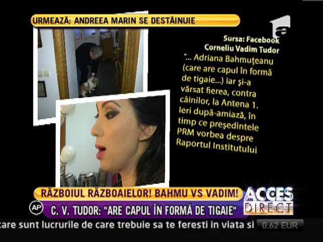 Corneliu Vadim Tudor, critici dure la adresa Adrianei Bahmuteanu, cu privire la subiectul cainilor fara stapan