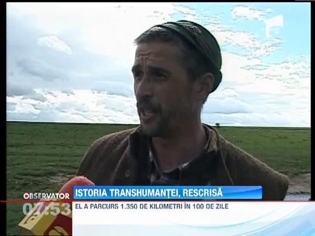 Transhumanta 2013: Un cioban din Brasov a strabatut 1.350 de kilometri cu turma sa de oi