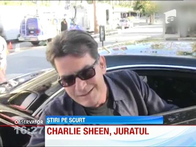 Charlie Sheen, de bunavoie si nesilit de nimeni... la tribunal! Actorul i-a vizitat pe judecatori in calitate de cetatean onorabil