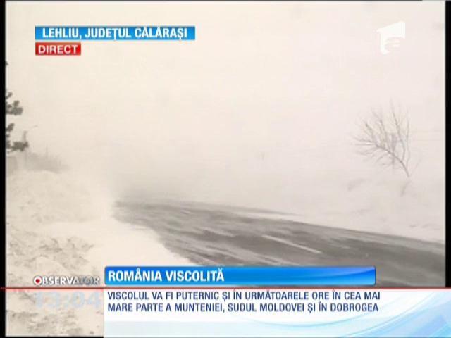 România viscolită! Iadul alb a pus stăpânire pe mai multe localități din țară