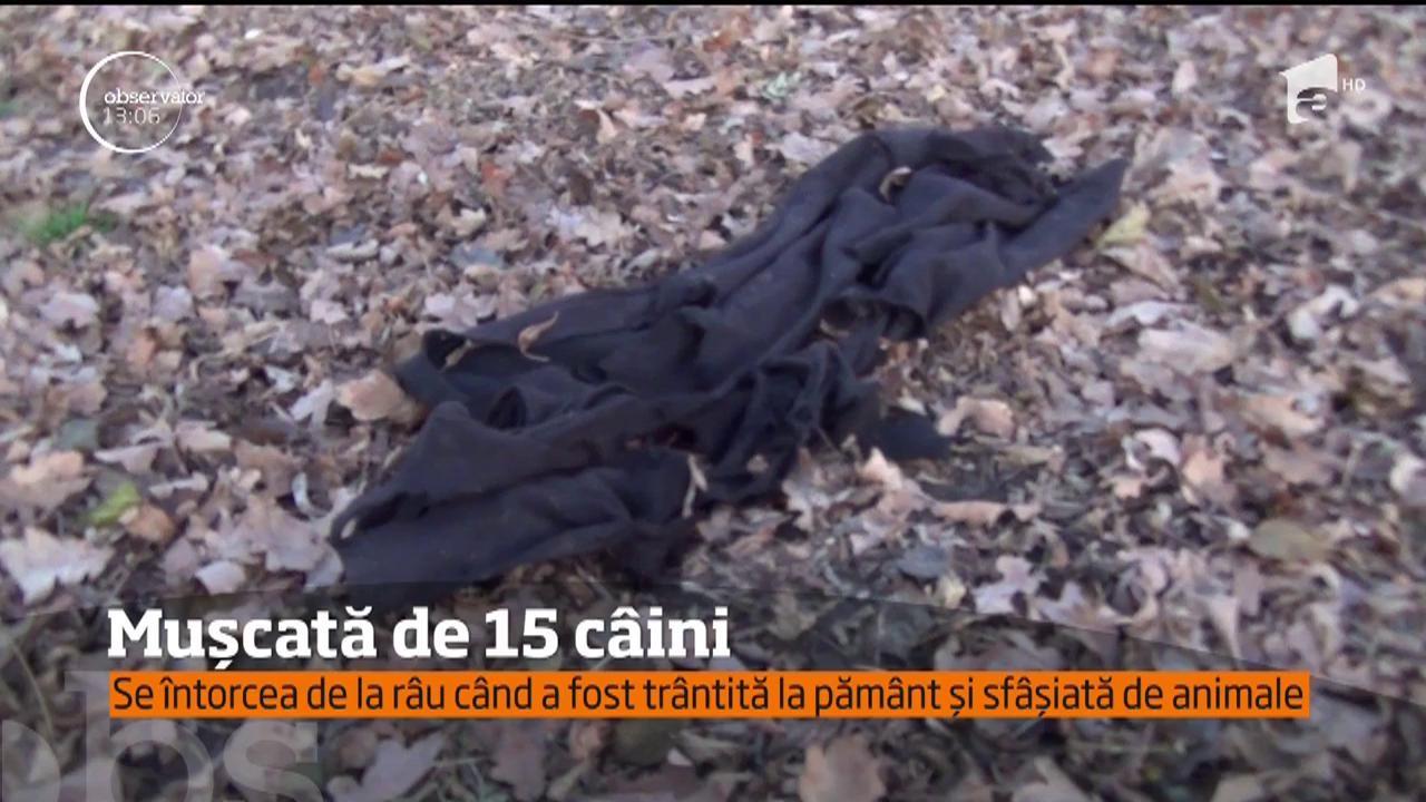 O româncă a fost sfâşiată de 15 câini înfometați. Trântită la pământ și rănită, a fost salvată în ultima clipă de o bătrână care a alungat haita