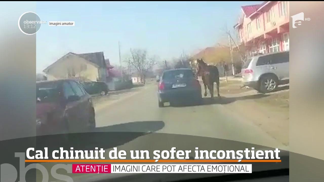 Scene de o cruzime rară au fost surprinse în Dolj! Un bărbat şi-a legat calul de maşină şi l-a târât kilometri întregi