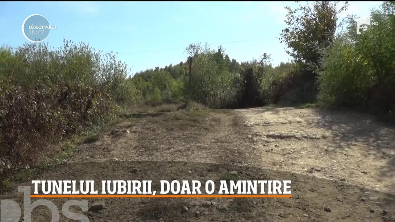 Nepăsarea autorităților a distrus Tunelul Iubirii din Caraş Severin. Imagini triste cu paradisul iubiţilor invadat de buruieni