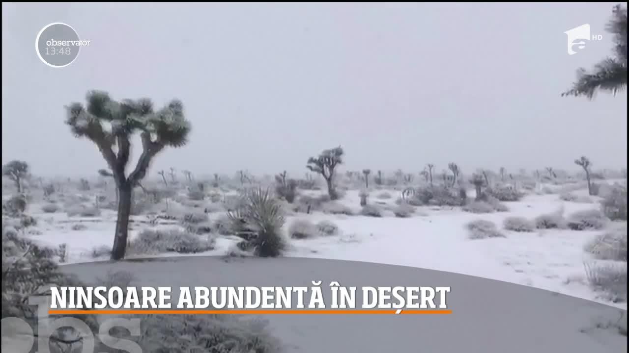A nins în deșert, în cea de-a doua zi de Crăciun! Imagini uluitoare! VIDEO