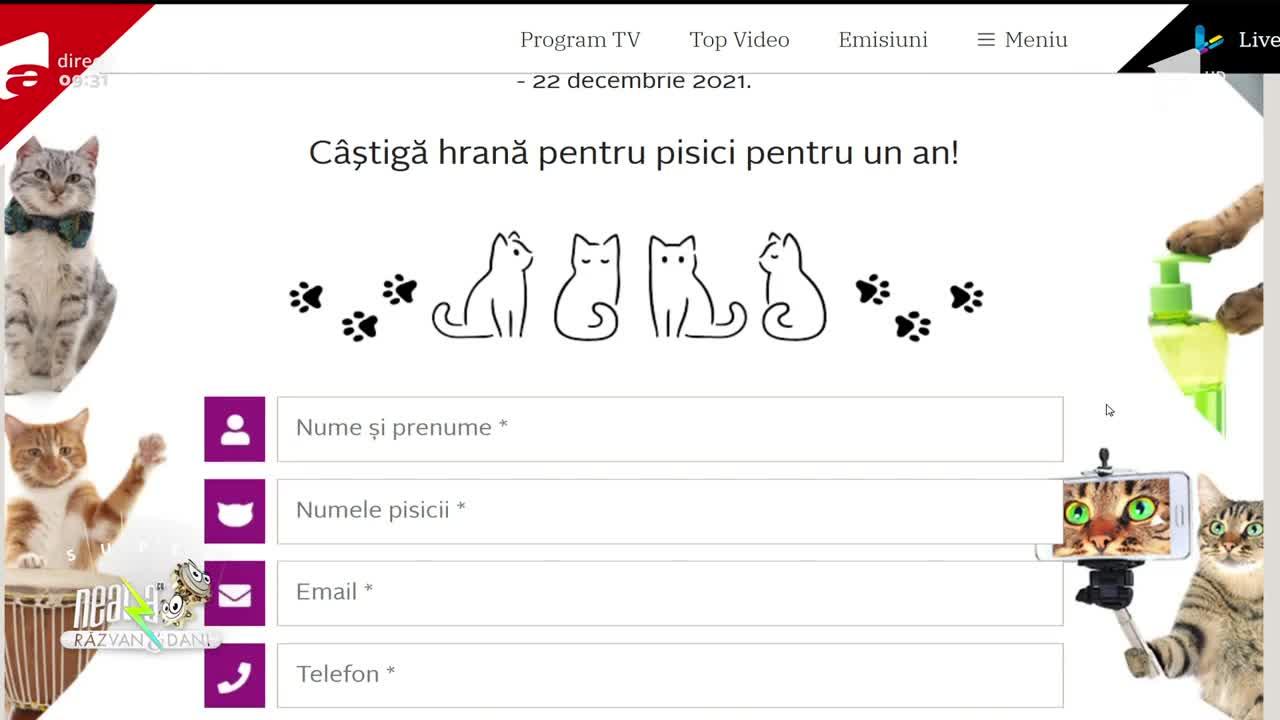„Pisicile sunt familie” continuă la Neatza cu Răzvan și Dani. Înscrie-ți felina pe care o iubești în concursul Whiskas