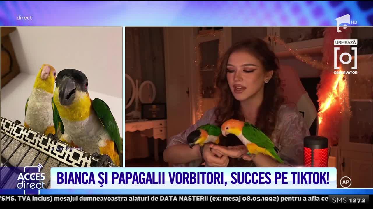 Bianca Sasu și papagalii săi vorbitori fac senzație pe TikTok! Ce a dezvăluit fosta concurentă de la iUmor