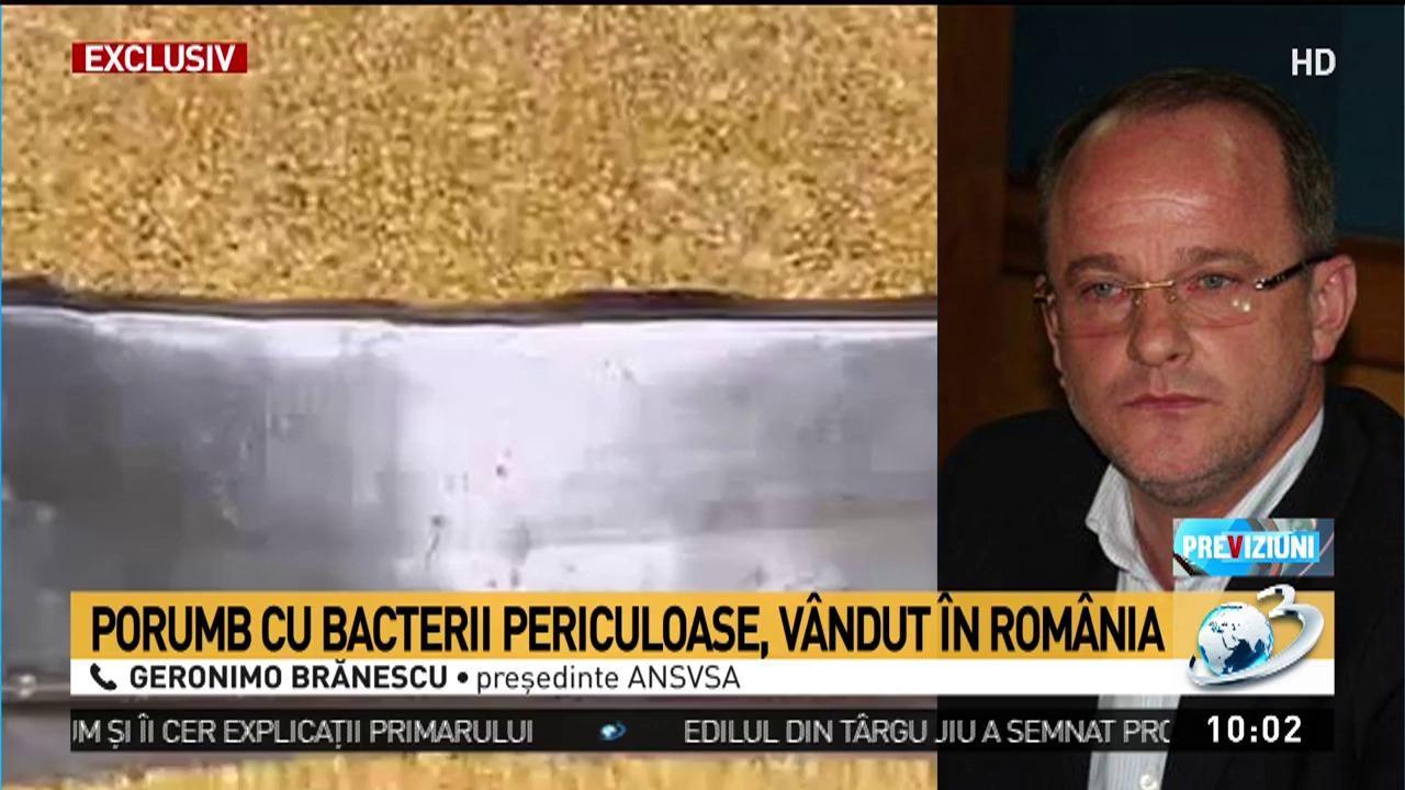 Nouă oameni au murit deja în Europa! Este alertă şi în România, porumbul contaminat se găseşte în magazinele de la noi. Bacteria care te poate ucide în câteva zile!