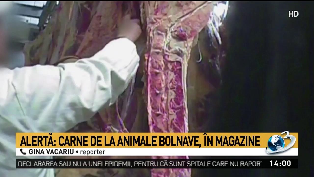 Alertă în România! Carne de la animale bolnave, vândută la rafturi! Ce anunță autortitățile