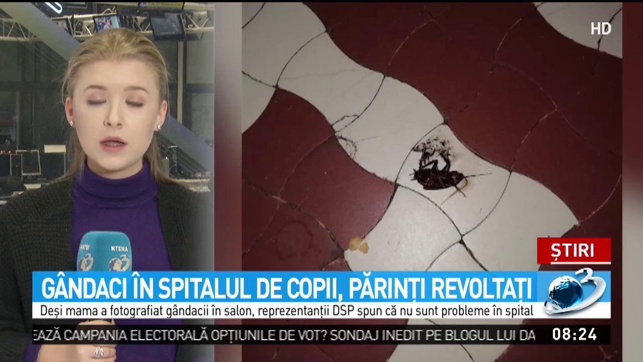 Insecte pozate de părinți în saloanele dintr-o secție de pediatrie a unui spital important din România: „Asta găsim lângă copii”